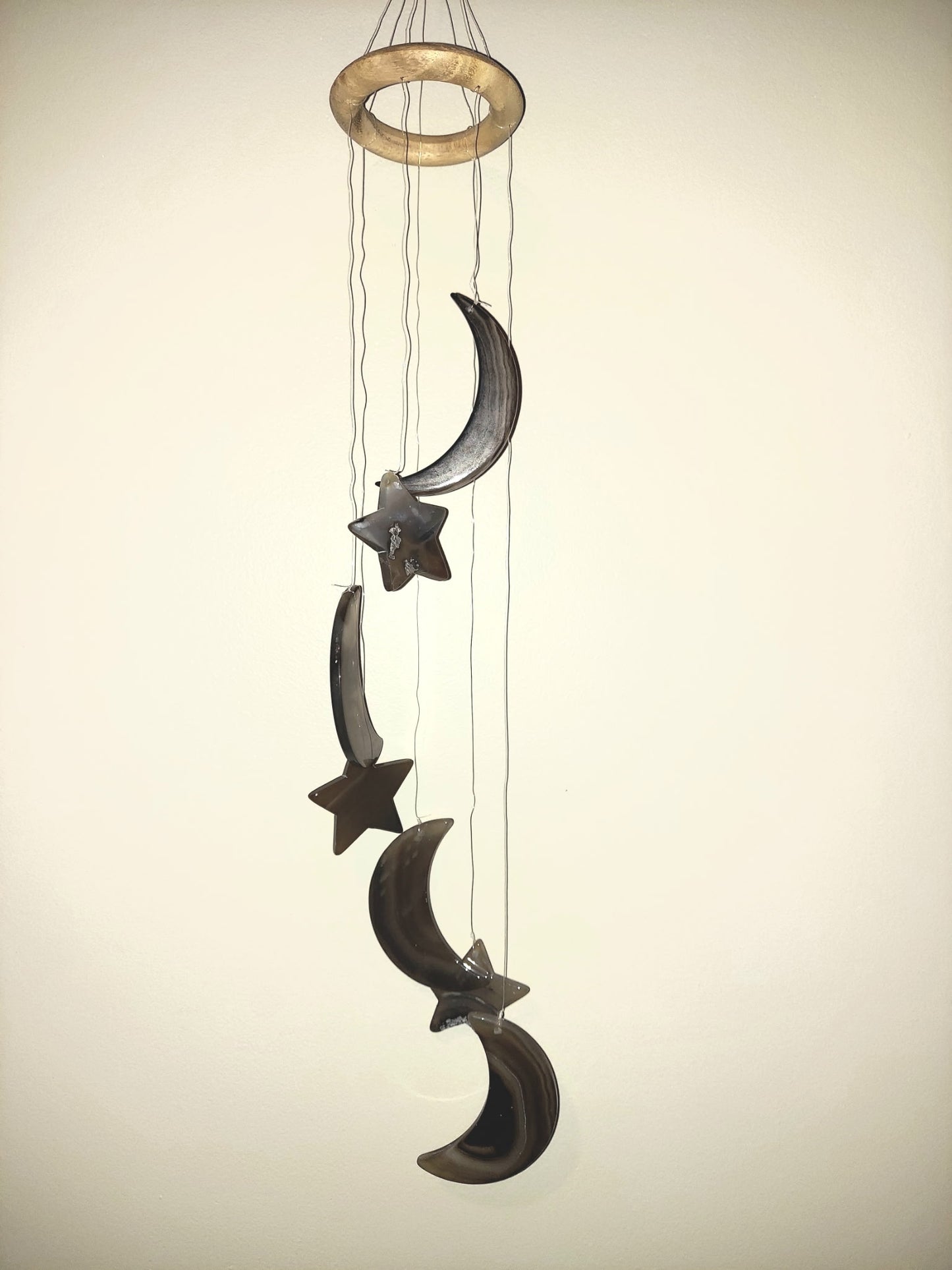 Leify Lou 1-7-25 pop up