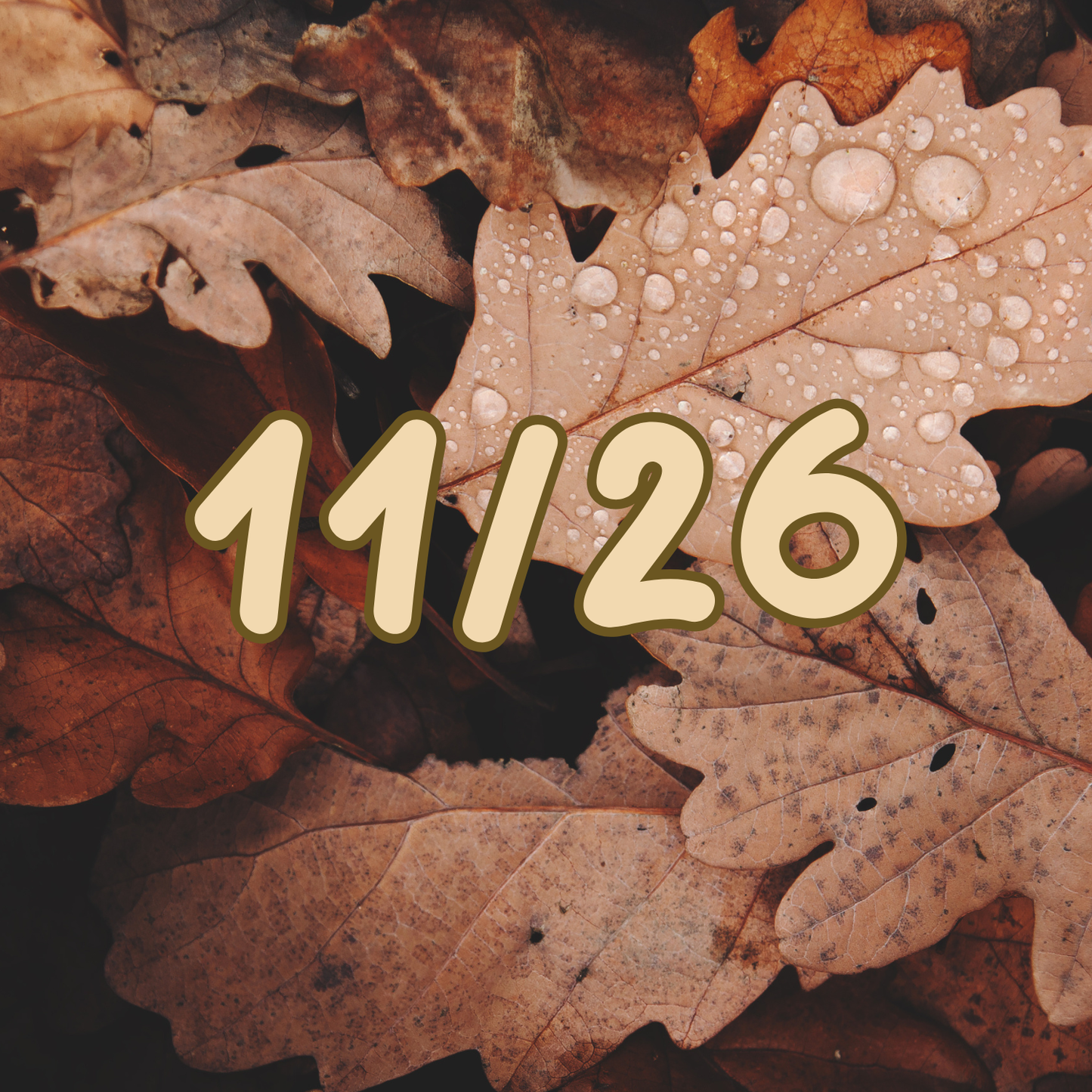 Diane Davenport (Kay) 11/26 (2/2)