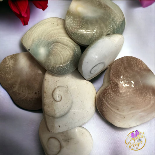Shiva hearts