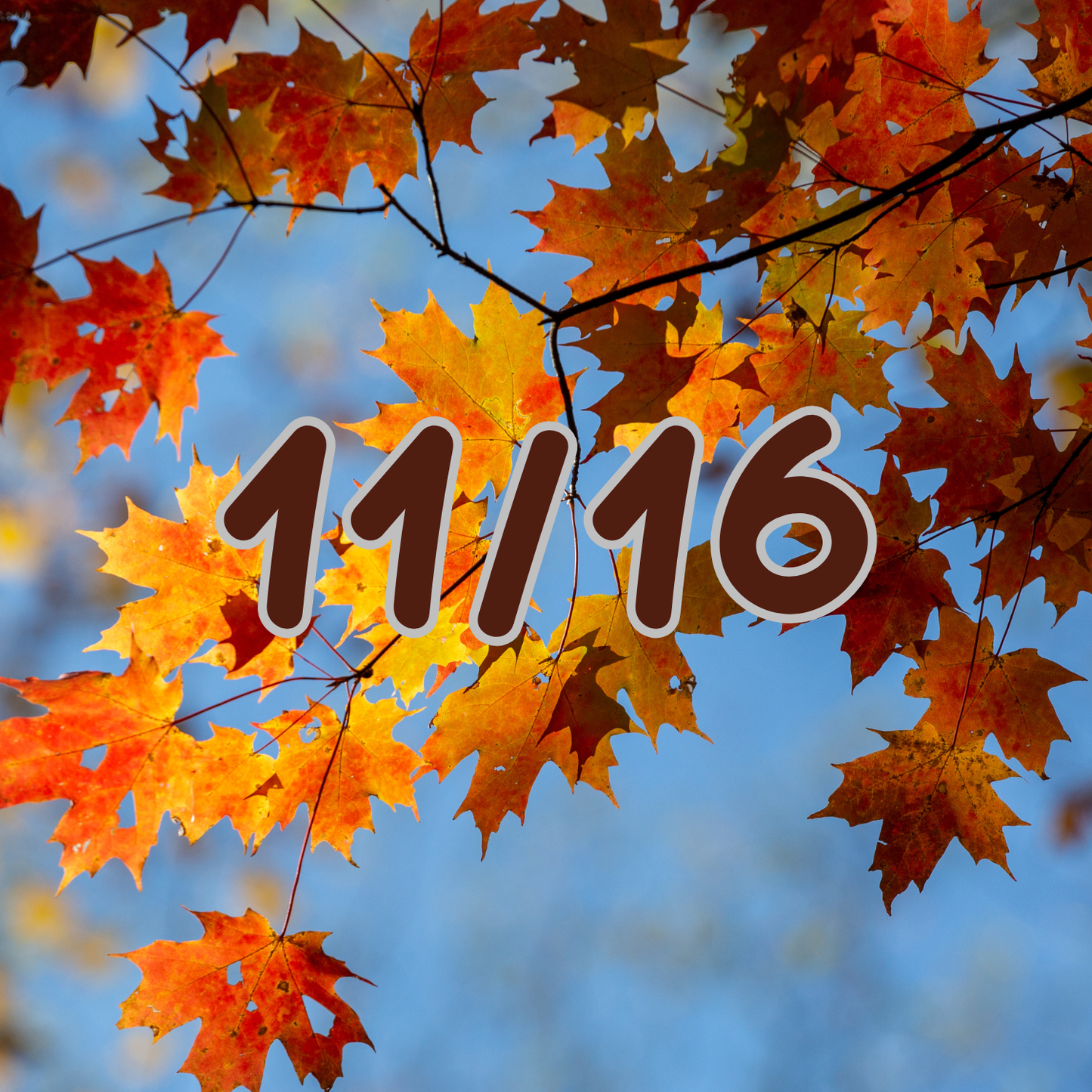 Amanda Roy (Kay) 11/16