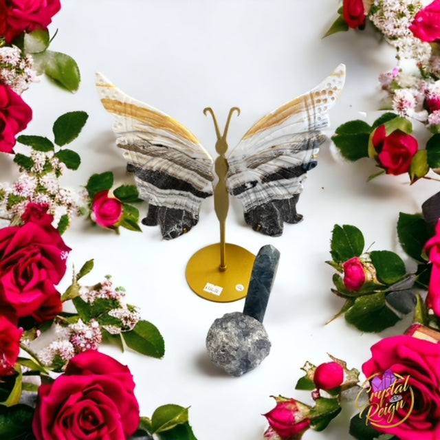 Intuition Money Saving Bundle Crystal Reign Boutique