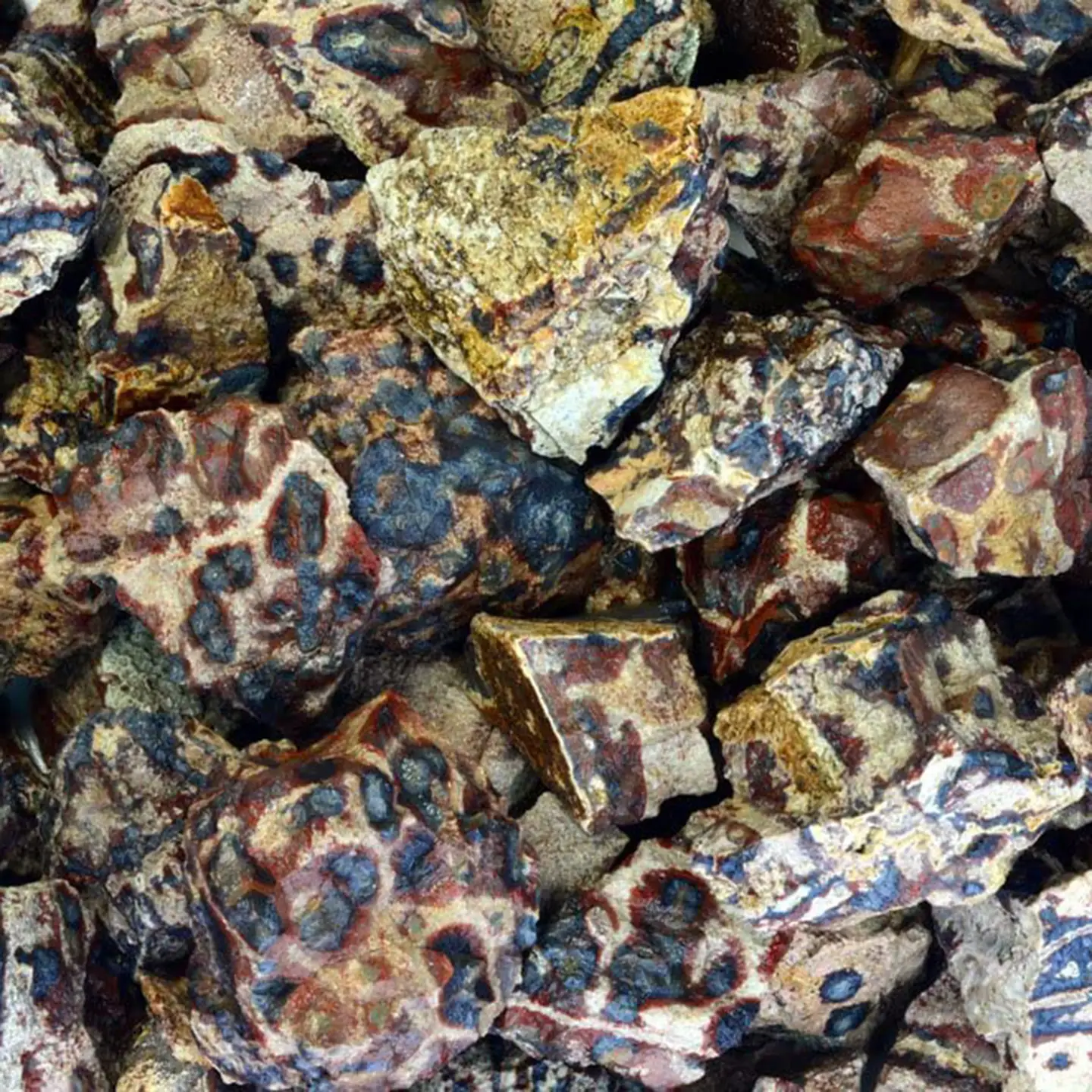 Raw Leopardskin Jasper