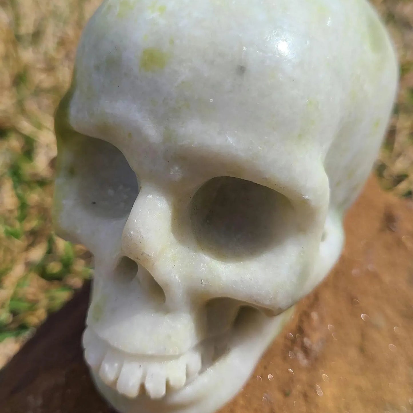 Antique Bones 10/24
